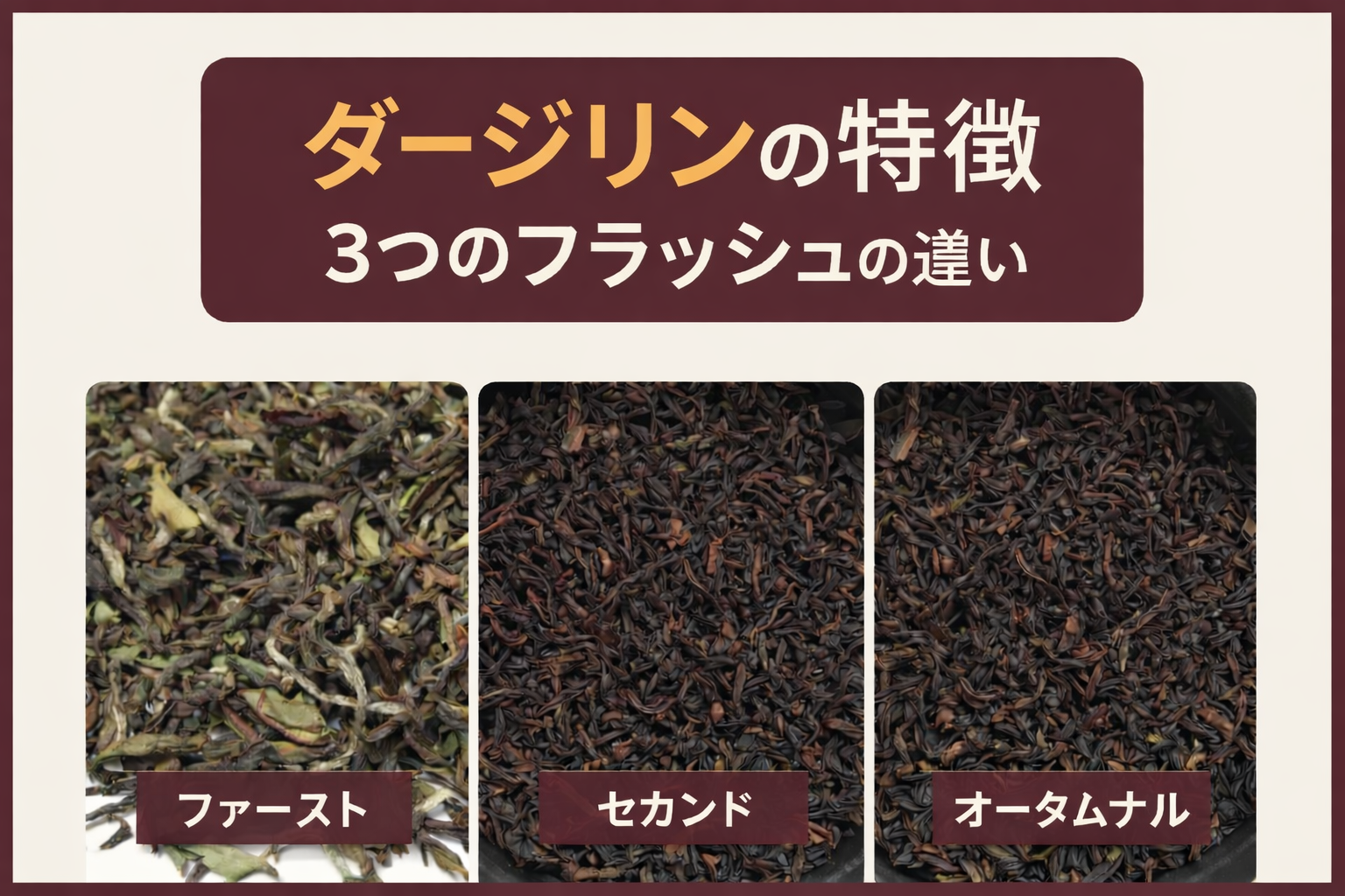 紅茶　ダージリン　特徴 ファーストフラッシュ セカンドフラッシュ オータムナル